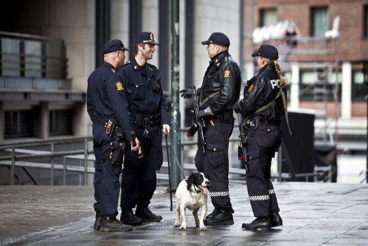 Politiets danske bombehund Bølle på 8 år laver et rutinetjek tirsdag morgen. Bølle har været bombehund i Norge i 6 år.